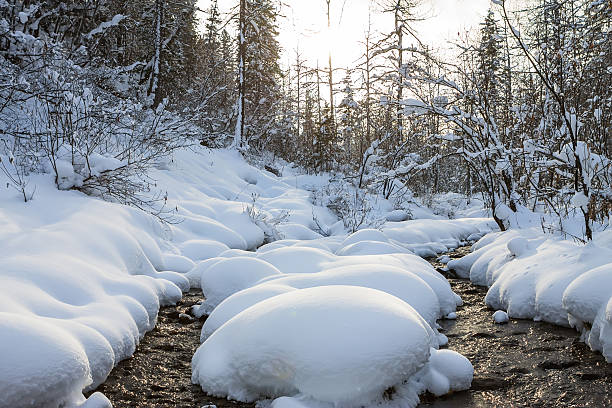 река течет на закате зимой в сугробах в лесу - winter stream river snowing стоковые фото и изображения