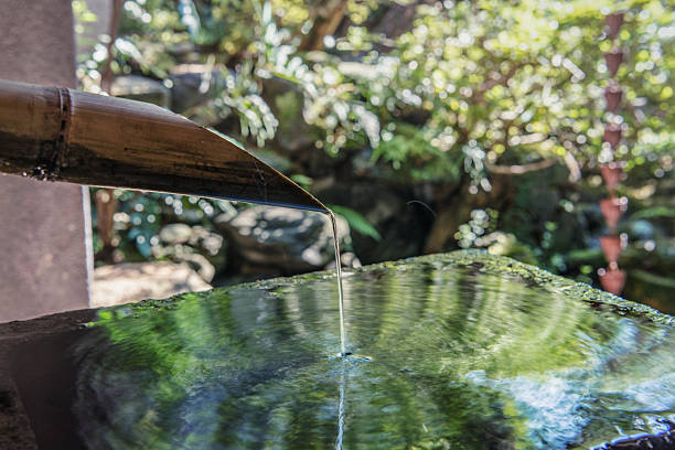 Basin(Sink) with the leaf