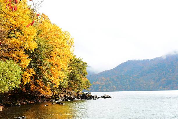 istock Autumn of japan 2015 637851276