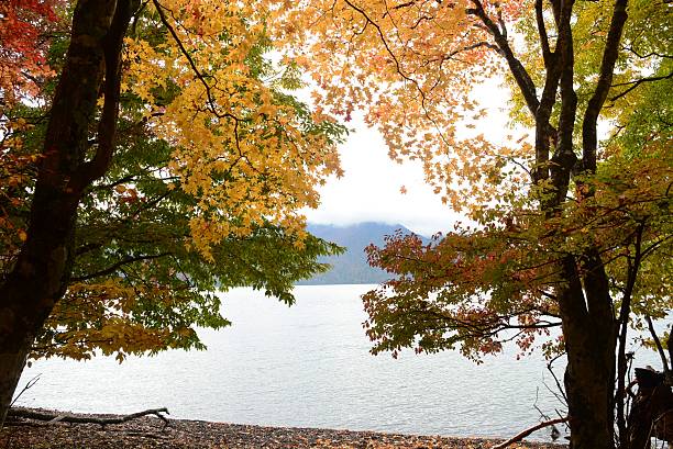 istock Autumn of japan 2015 637851350