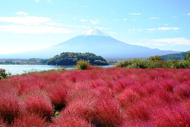 istock Autumn of japan 2015 637852198