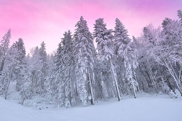 istock Landscape with a winter forest and sundown 637855250