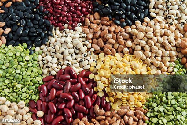 Various Legumes Stock Photo - Download Image Now - Legume Family, Bean, Cereal Plant