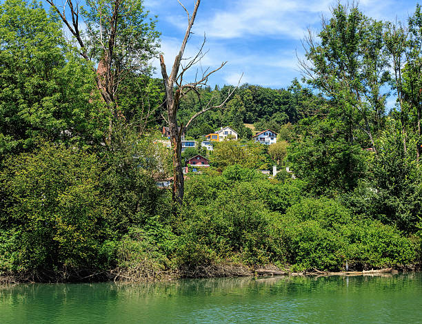 istock Aare river in Switzerland 637859490