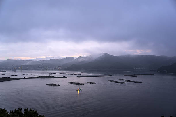 istock Calm bay in the morning 637861450