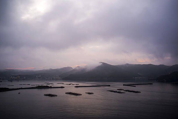 istock Calm bay in the morning 637861676