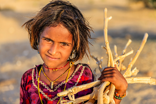 Happy Indian little girl carrying brushwood, desert village. Thar Desert, Rajasthan, India.