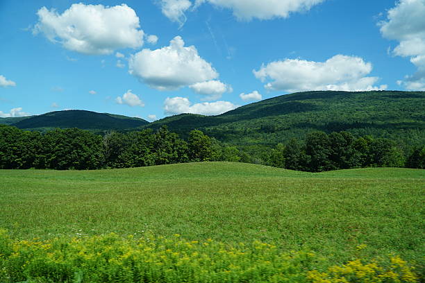 Green Mountains Green Mountains green mountains appalachians photos stock pictures, royalty-free photos & images