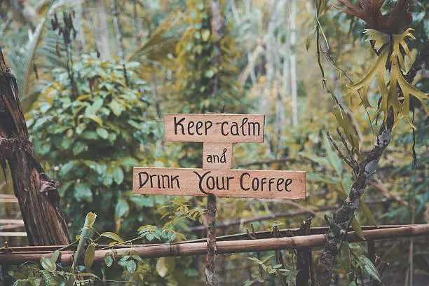 Photo of Coffee quotes in a rustic timber with jungle backgrounds