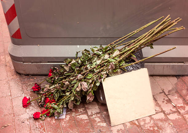 thrown red roses bouquet at garbage bin at lviv ukraine