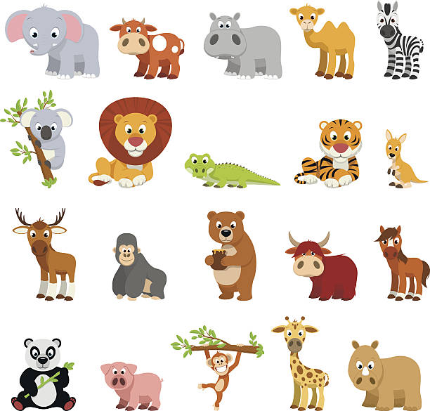 Funny exotic animals Vector illustration vector set of funny exotic animals on a white background cartoon animals stock illustrations