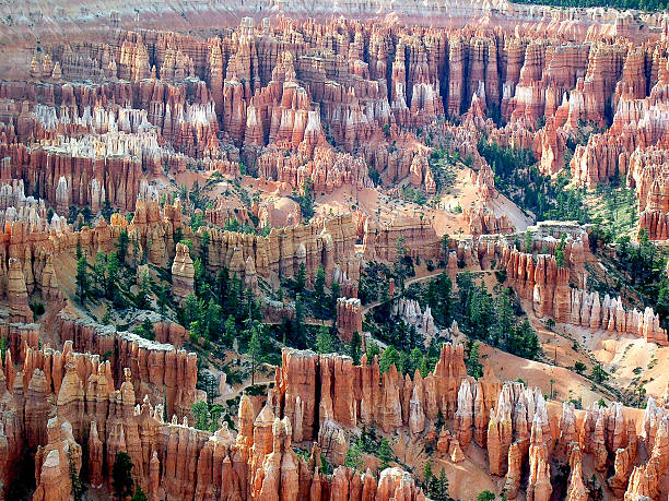 istock Bryce Canyon National Park, Utah, U.S.A. 637875658