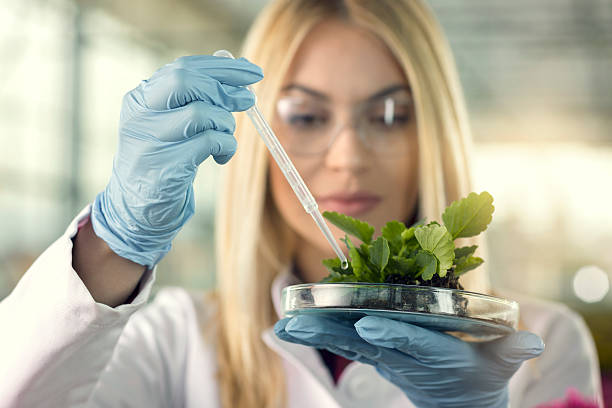 istock Young scientist in the greenhouse 637877474