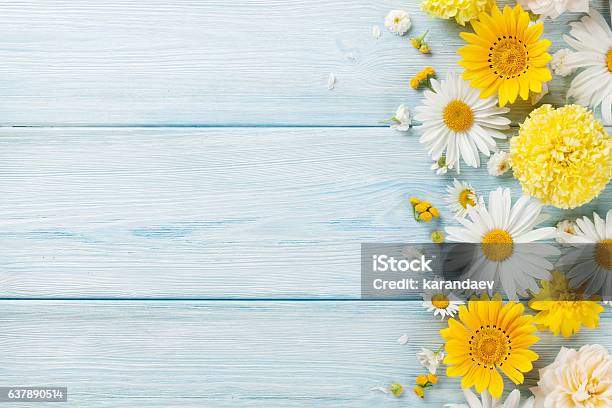 Garden Flowers Over Wooden Background Stock Photo - Download Image Now - Flower, Springtime, Backgrounds