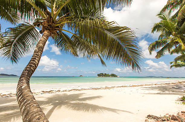 istock Beach view on the island of Praslin, Seychelles. 637896430