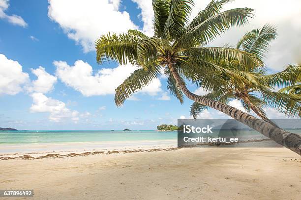 Beach View On The Island Of Praslin Seychelles Stock Photo - Download Image Now - Anse Lazio, Beach, Beauty In Nature