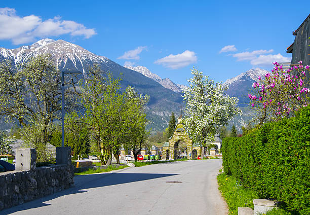 istock Street in alpine village with blossom trees 637904048