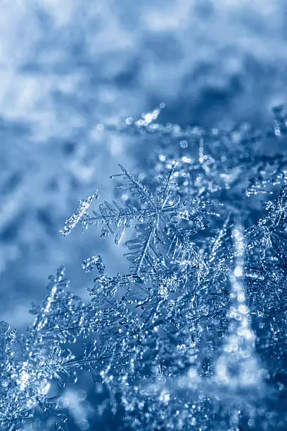 Photo of Snowflakes piling up with a cold blue cast
