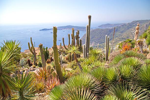 istock Town of Eze, France 637910242