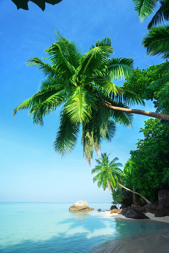 sunset on the beach, Mahe island, Seychelles