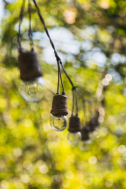 istock light bulbs hanging in the garden 637919742