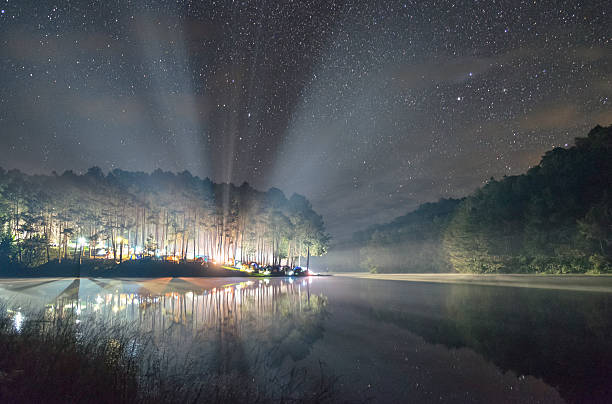 luz brilha floresta de pinheiros no reservatório à noite - mae hong son province - fotografias e filmes do acervo