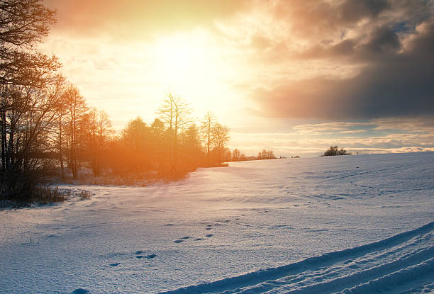 istock Winter landscape in the countryside 637927162
