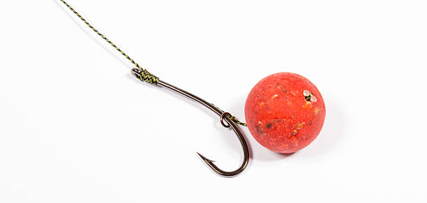 istock Carp Hook Boilies - Fishing Bait close up 637929576
