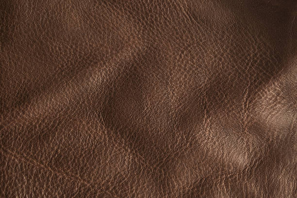 istock Natural luxury brown beige leather texture background 637930086