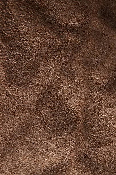 istock Natural luxury brown beige leather texture background 637930120