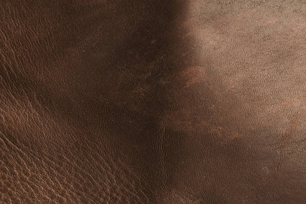 istock Natural luxury brown beige leather texture background 637930182