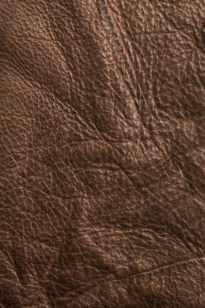 istock Natural luxury brown beige leather texture background 637930200