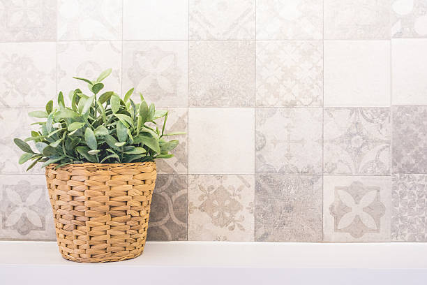 istock Plant in basket 637930958