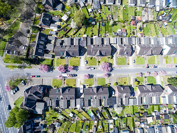 istock Cherry blossom in the city 637931918