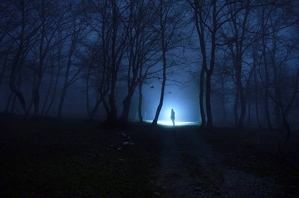 istock Alone girl in the forest at night 637933608