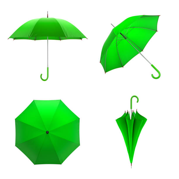istock Green umbrella isolated on white background. 3D illustration . 637934556