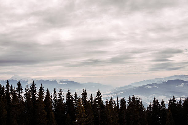 istock Wooded area in Eastern Europe. The Carpathian mountains 637935538