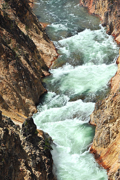istock Canyon Walls in Yellowstone 637938930