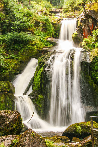 cachoeira triberg em floresta negra - black forest waterfall triberg landscape - fotografias e filmes do acervo