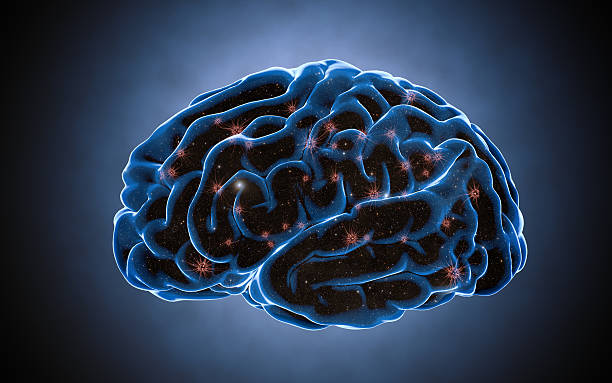 istock Brain impulses. Neuron system. Human anatomy. transferring pulses and generating 637942598
