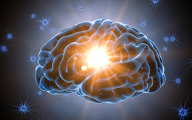 istock Brain impulses. Neuron system. Human anatomy. transferring pulses and generating 637942684