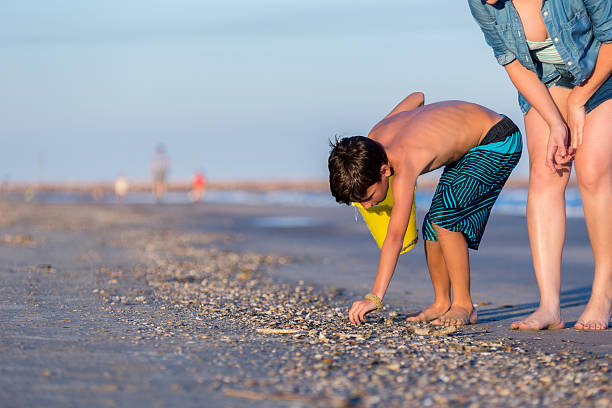 istock Mom helps son pick up seashells during beach vacation 637945966