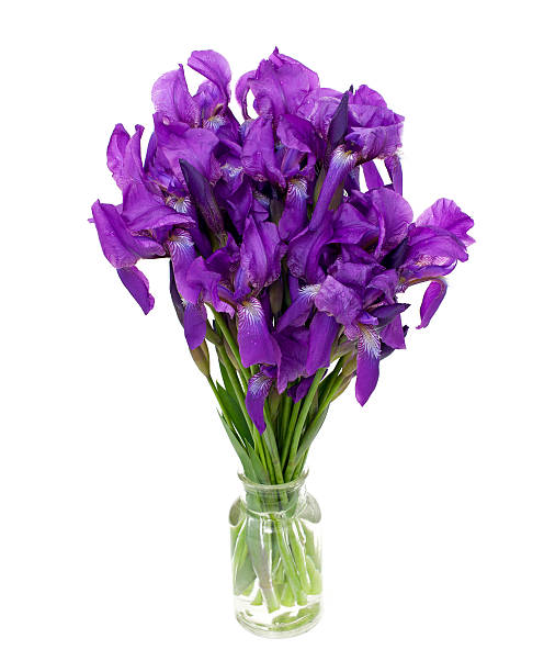 istock bunch of iris flowers 637947466