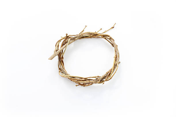 istock Simple wreath of twisted vines and stems 637951834