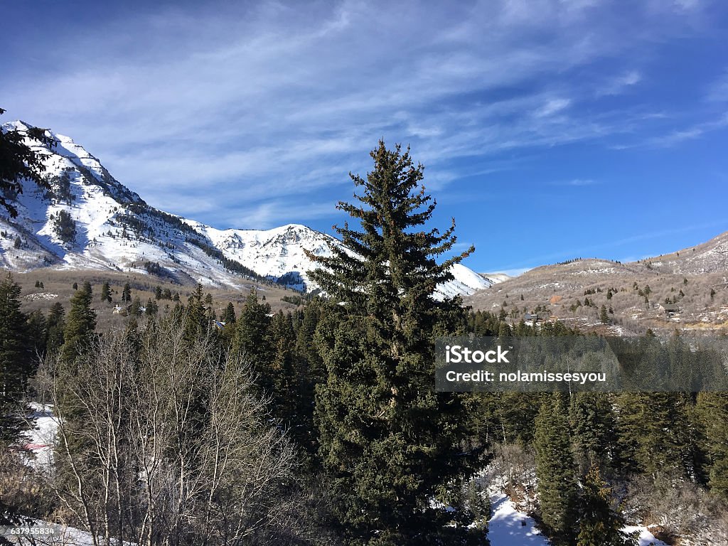 Sundance Mountain Resort in Winter alpine snowy mountain landscape Adult Stock Photo