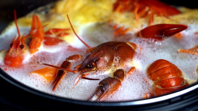 Boiling crayfish at saucepan