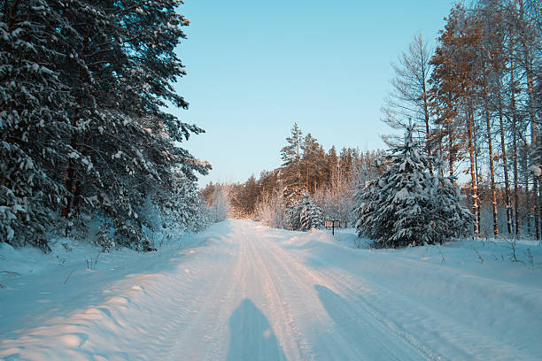 istock Winter road at sunset in snow covered forest, ural, horizontal 637967258