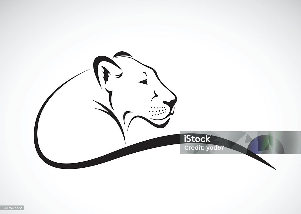 Vector of a lion female design on white background. Vector of a lion female design on white background, Wild Animals. Lioness - Feline stock vector