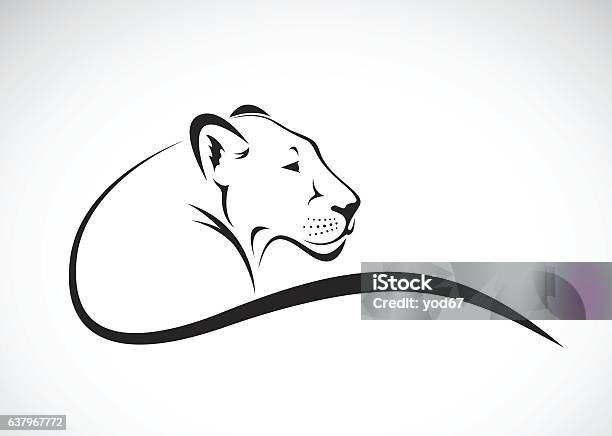 Vector Of A Lion Female Design On White Background Stock Illustration - Download Image Now