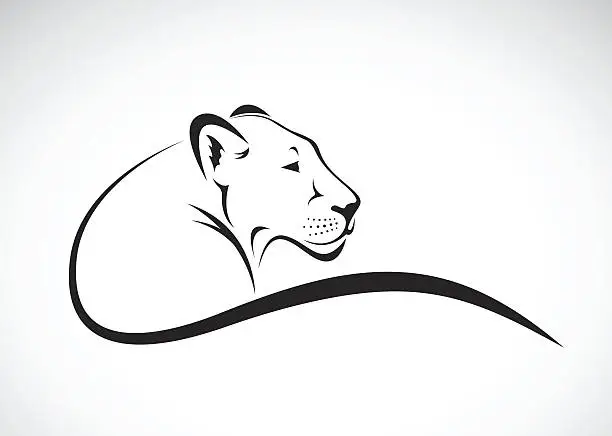 Vector illustration of Vector of a lion female design on white background.